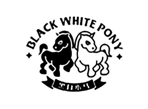 黑白小马BLACKWHITEPONY