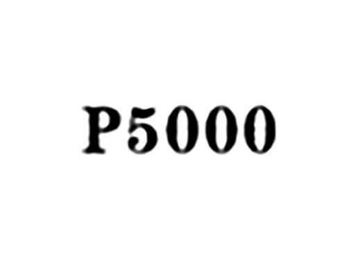 P5000