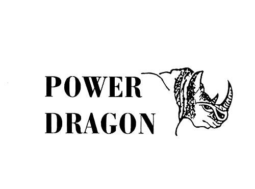 POWERDRAGON