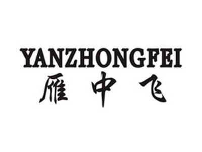 雁中飞