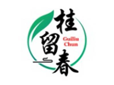 桂留春