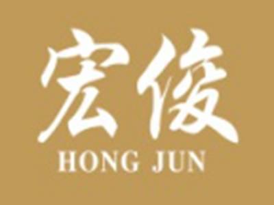 宏俊