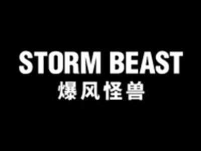 爆风怪兽STORMBEAST