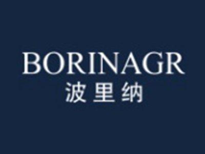波里纳BORINAGR