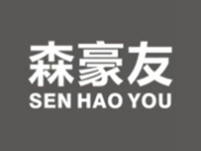 森豪友