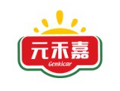 元禾嘉GENKICAR