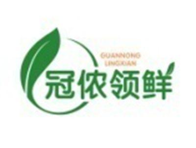 冠侬领鲜