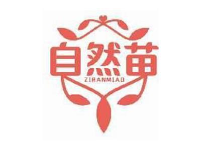 自然苗ZIRANMIAO