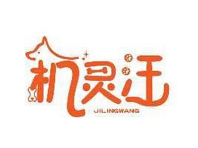 机灵汪JILINGWANG