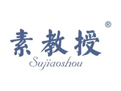 素教授