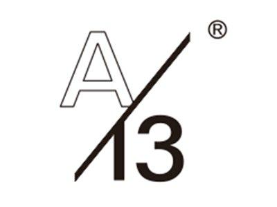 A/13
