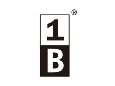 B1