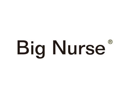 BIGNURSE
