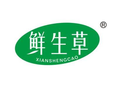鲜生草