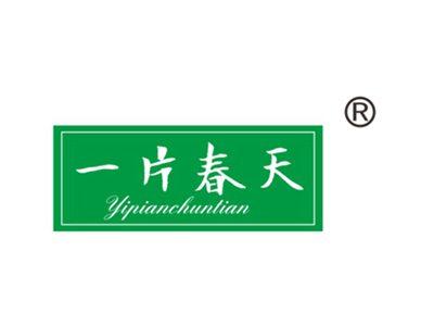 一片春天