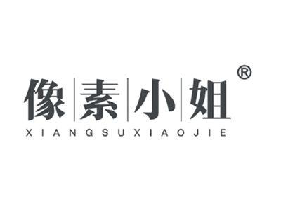 像素小姐