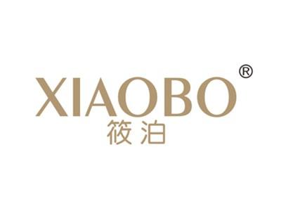 筱泊