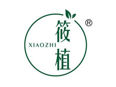 筱植