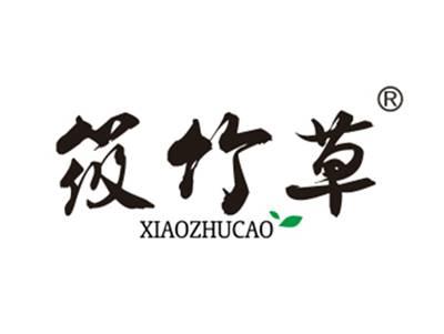 筱竹草