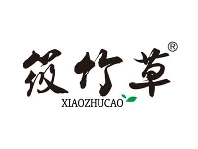 筱竹草