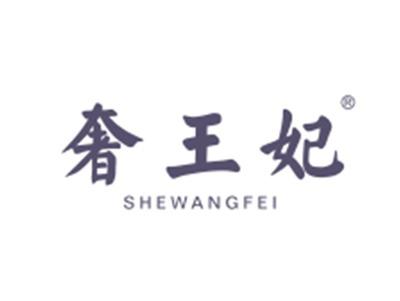 奢王妃