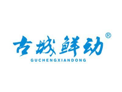 古城鲜动