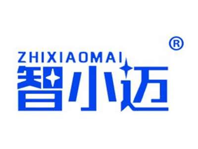 智小迈