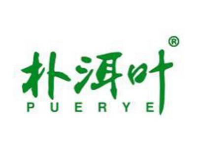 朴洱叶