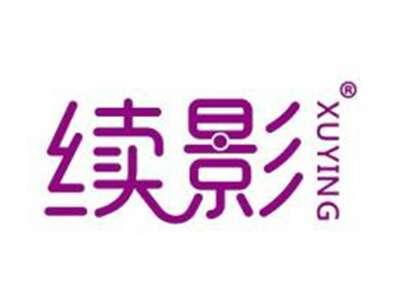 续影