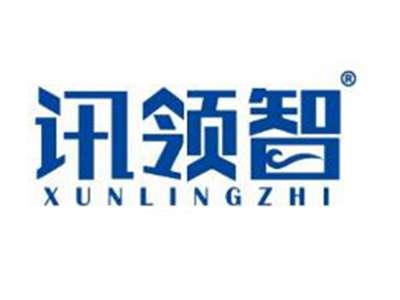 讯领智