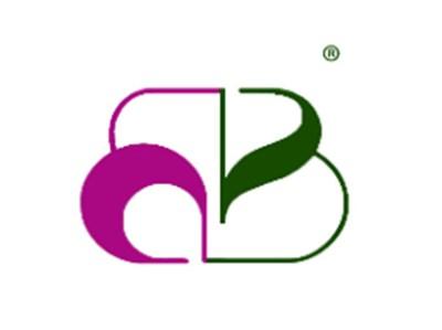 B图形