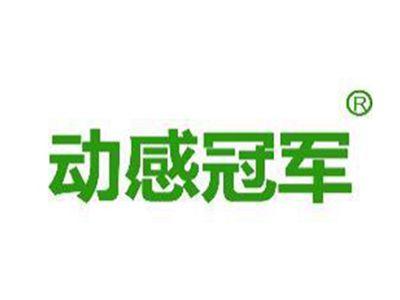 动感冠军