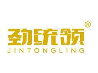 劲统领