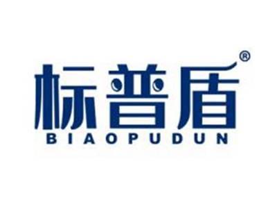 标普盾