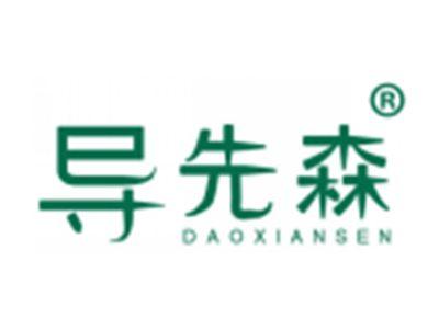导先森