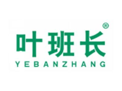 叶班长YEBANZHANG