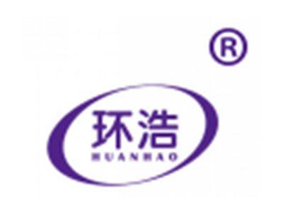 环浩