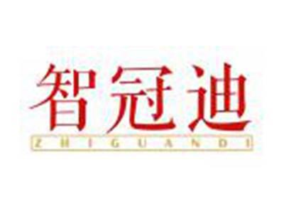 智冠迪