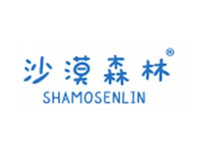 沙漠森林