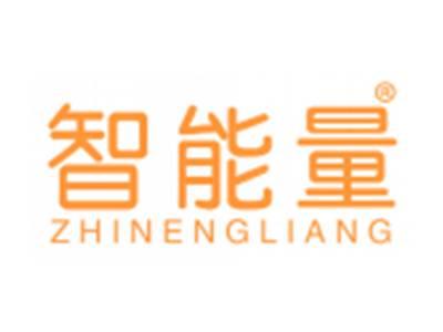 智能量
