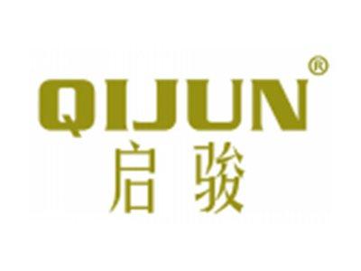 启骏