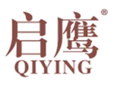 启鹰