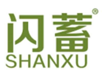 闪蓄