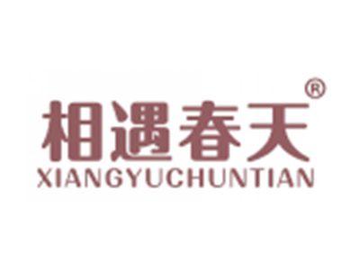 相遇春天