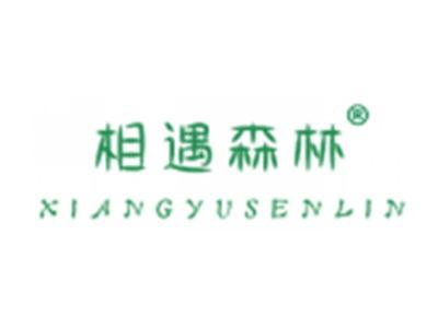 相遇森林