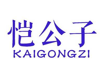 恺公子KAIGONGZI