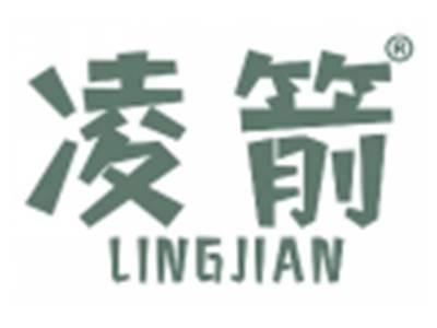 凌箭