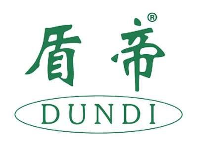 盾帝