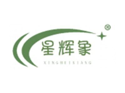 星辉象