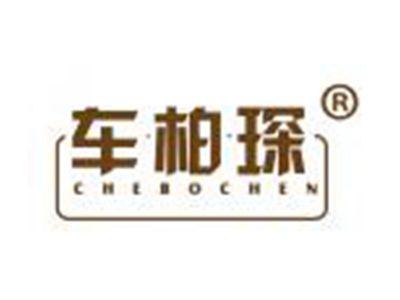 车柏琛